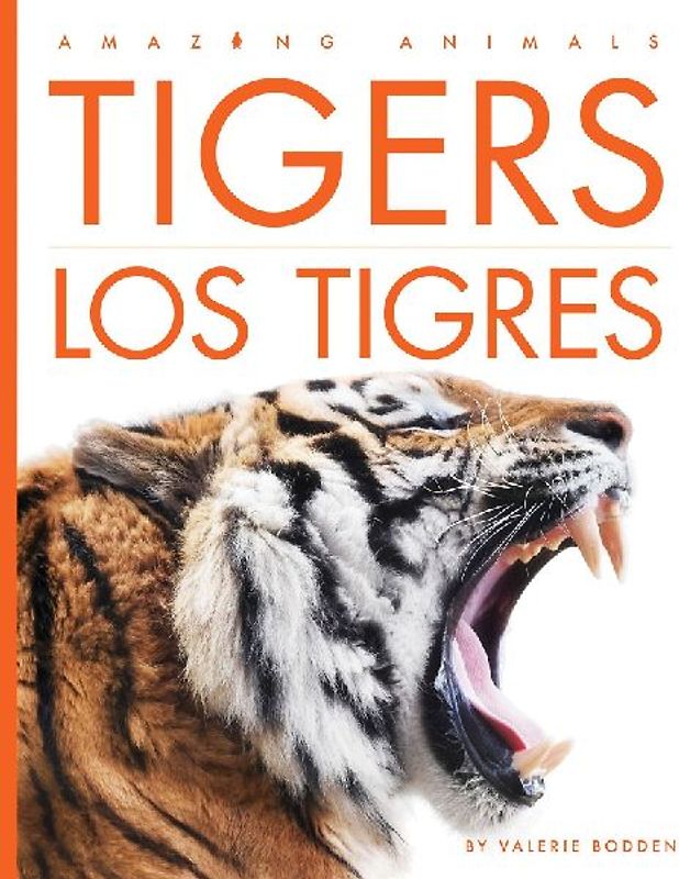 Tigers / Los Tigres