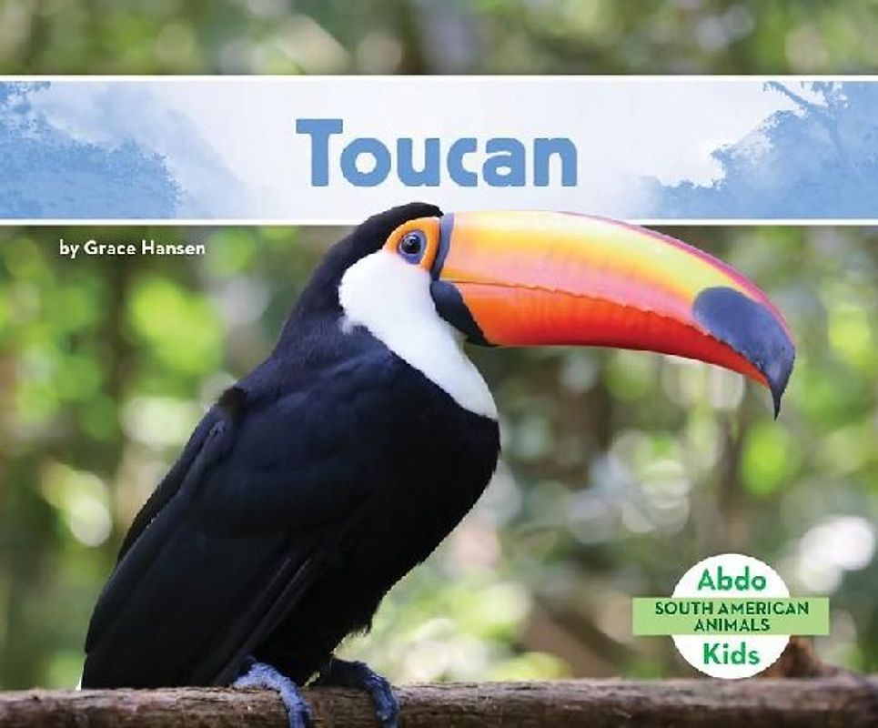 Toucan