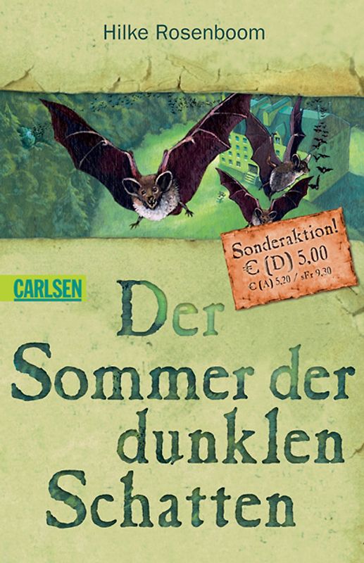 Der Sommer der dunklen Schatten