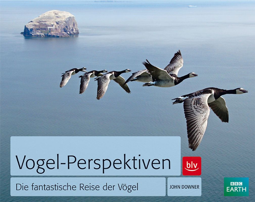 Vogel-Perspektiven