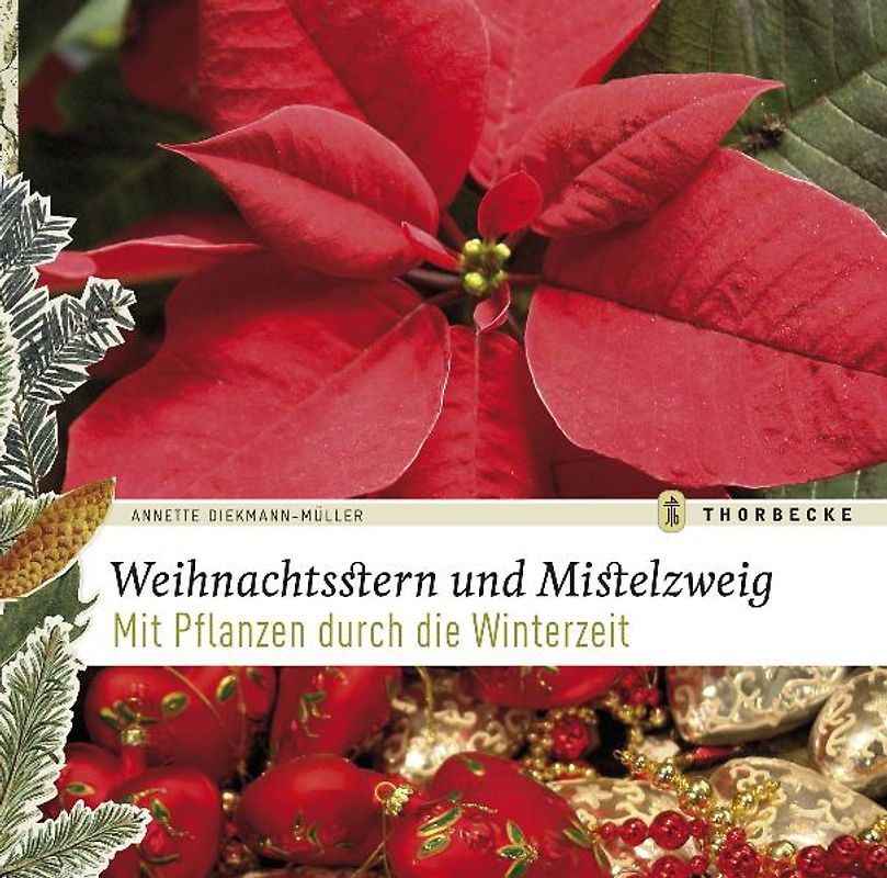 Weihnachtsstern und Mistelzweig