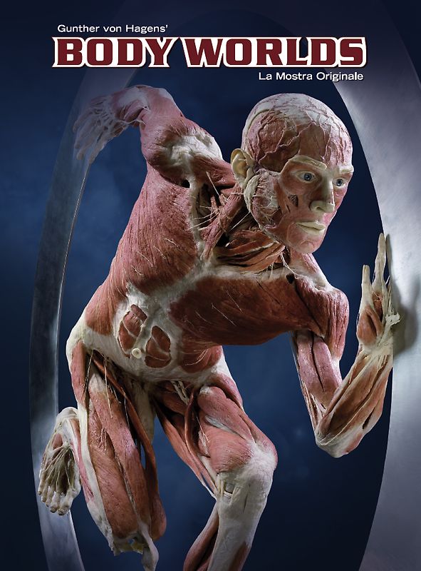 BODY WORLDS - La Mostra Originale (IT)