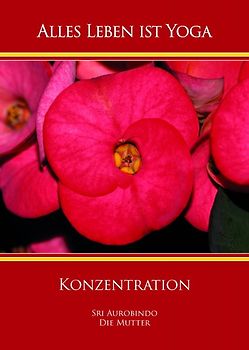 Konzentration