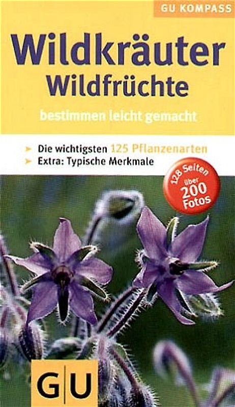 Wildkräuter & Wildfrüchte bestimmen leicht gemacht