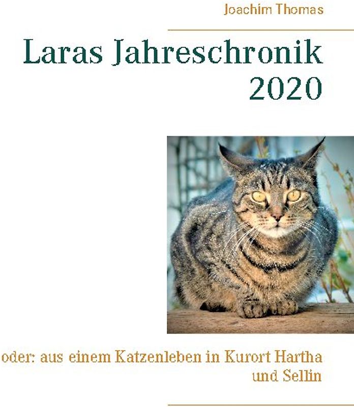 Laras Jahreschronik 2020