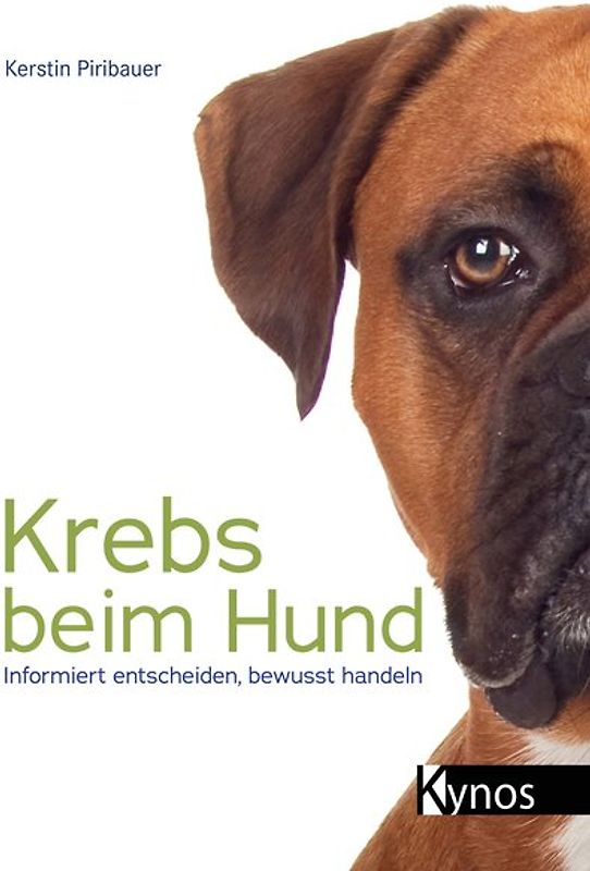 Krebs beim Hund