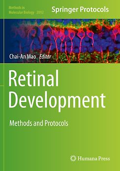 Retinal Development