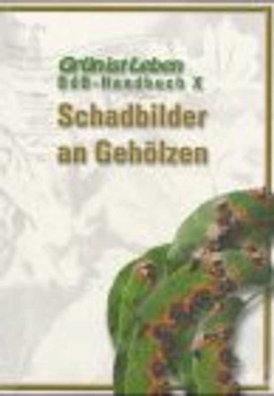 BdB-Handbuch / Schadbilder an Gehölzen