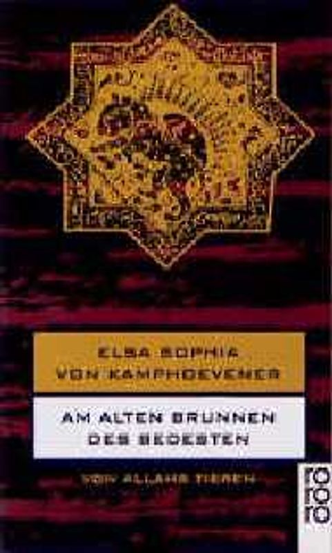 Am alten Brunnen des Bedesten