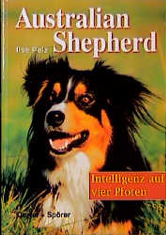 Australian Shepherd. Intelligenz auf vier Pfoten