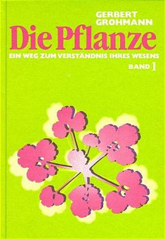 Die Pflanze