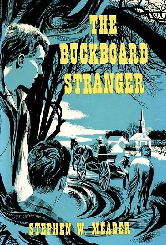 The Buckboard Stranger