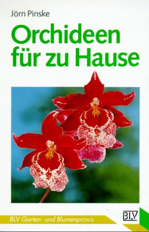 Orchideen für zu Hause