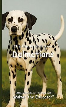 It's Time to Learn about Dalmatians