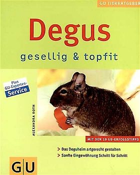 Degus gesellig & topfit