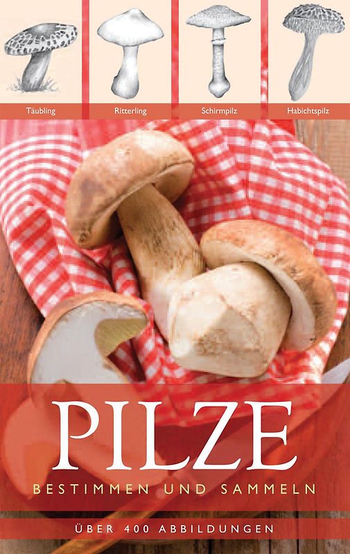Pilze