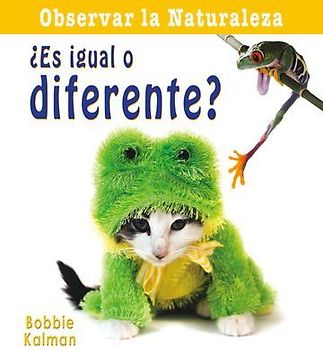 ¿Es Igual O Diferente? (Is It the Same or Different?)