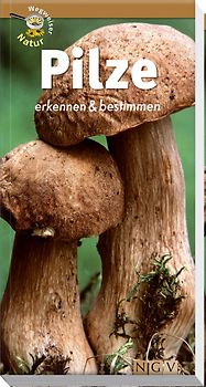 Pilze erkennen und bestimmen