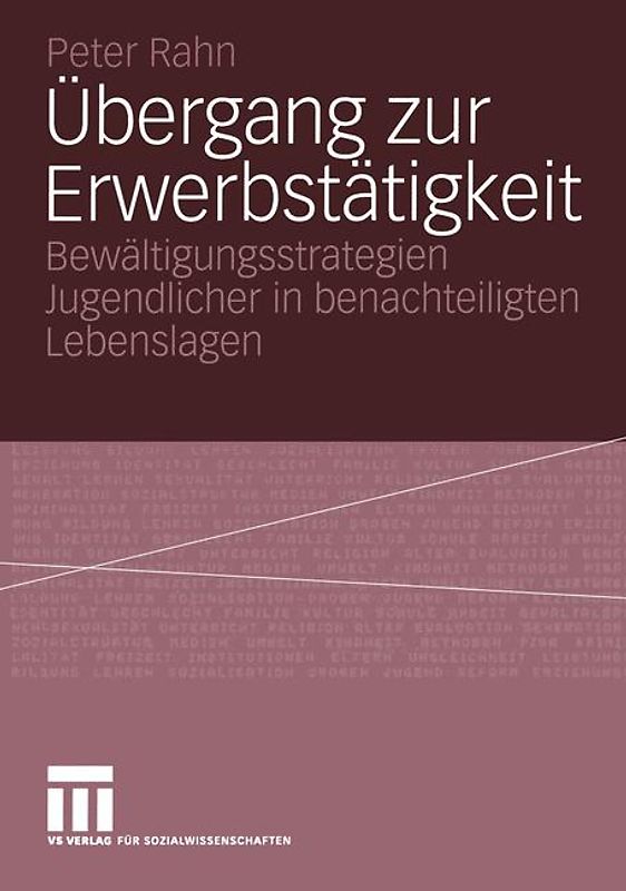 Übergang zur Erwerbstätigkeit