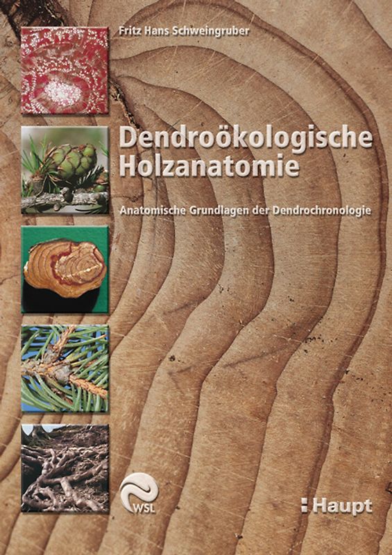 Dendroökologische Holzanatomie