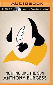 Nothing Like the Sun