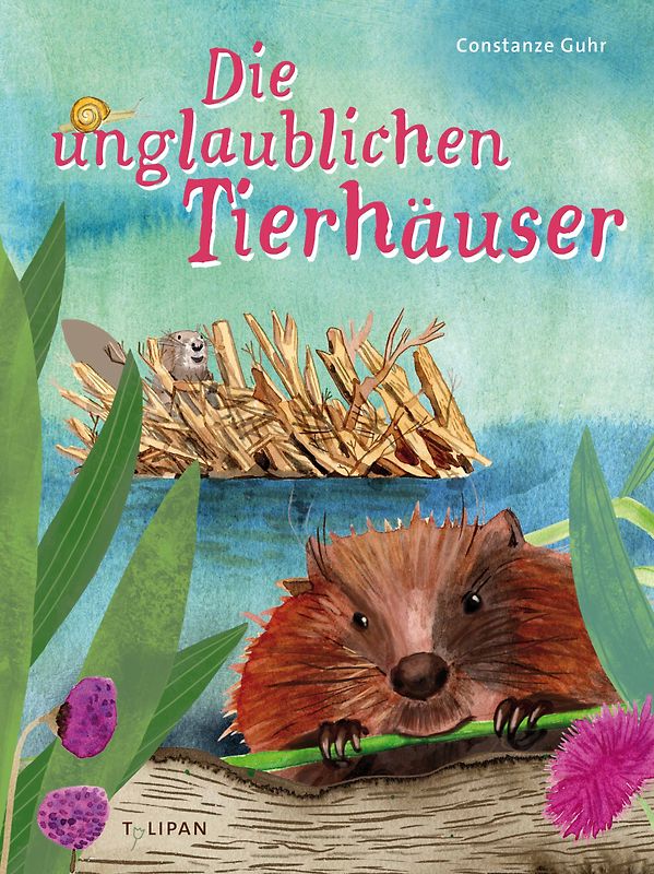 Die unglaublichen Tierhäuser