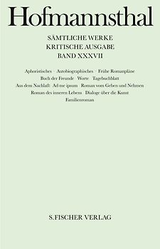 Aphoristisches, Autobiographisches, Frühe Romanpläne