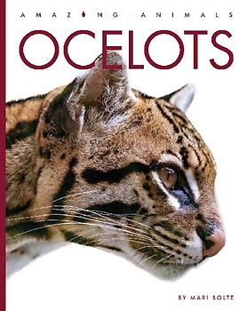 Ocelots