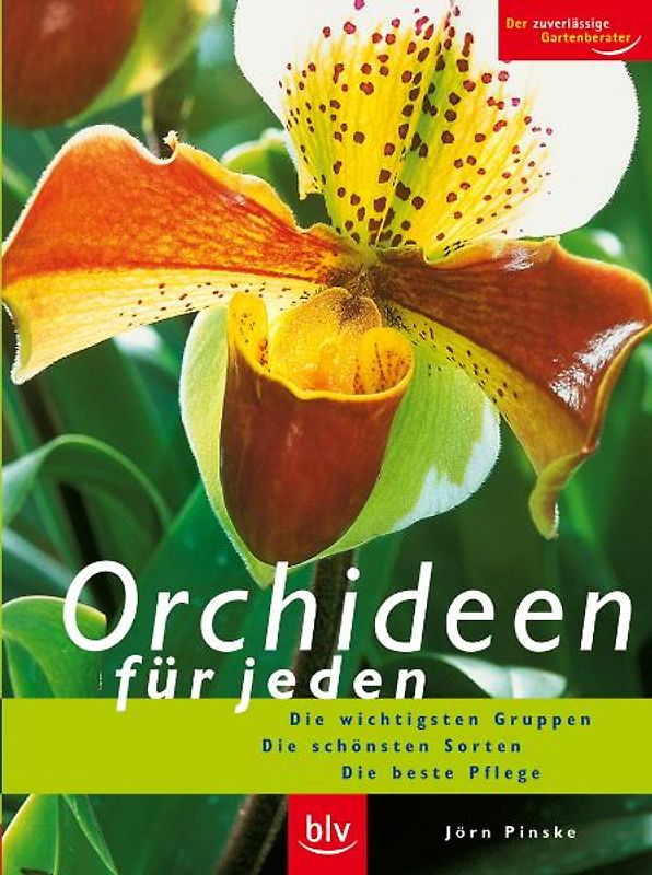 Orchideen für jeden
