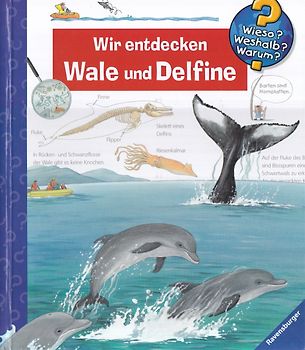 Wieso? Weshalb? Warum? Band 41 - Wir entdecken Wale und Delfine