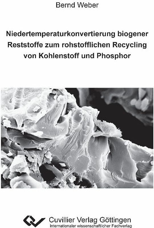 Niedertemperaturkonvertierung biogener Reststoffe zum rohstofflichen Recycling von Kohlenstoff und Phosphor