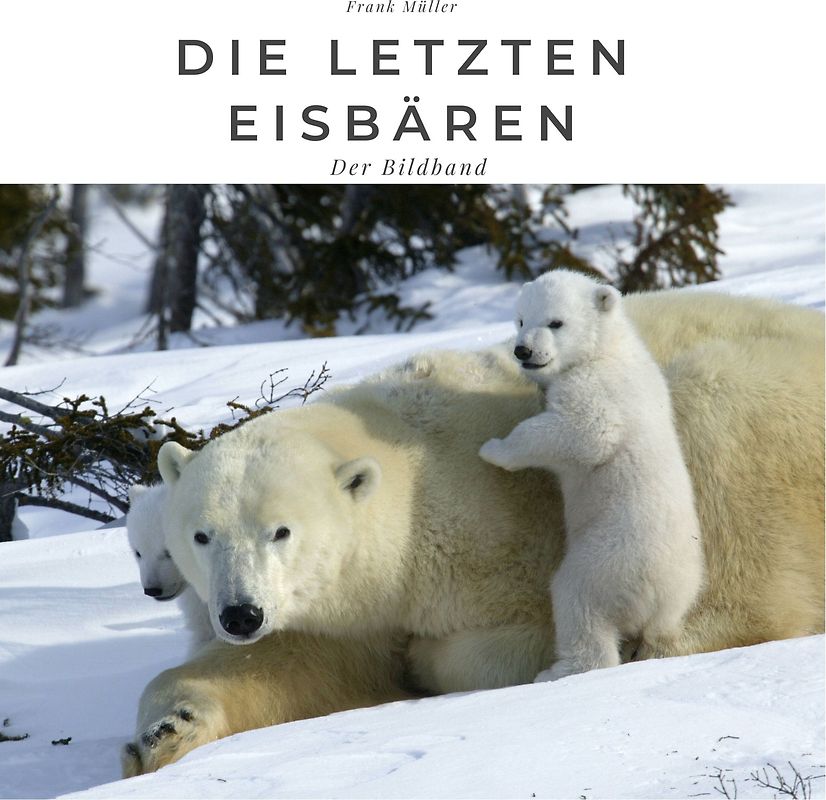 Die letzten Eisbären