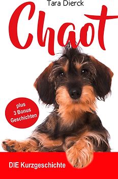 Chaot DIE Kurzgeschichte