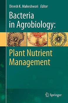 Bacteria in Agrobiology: Plant Nutrient Management