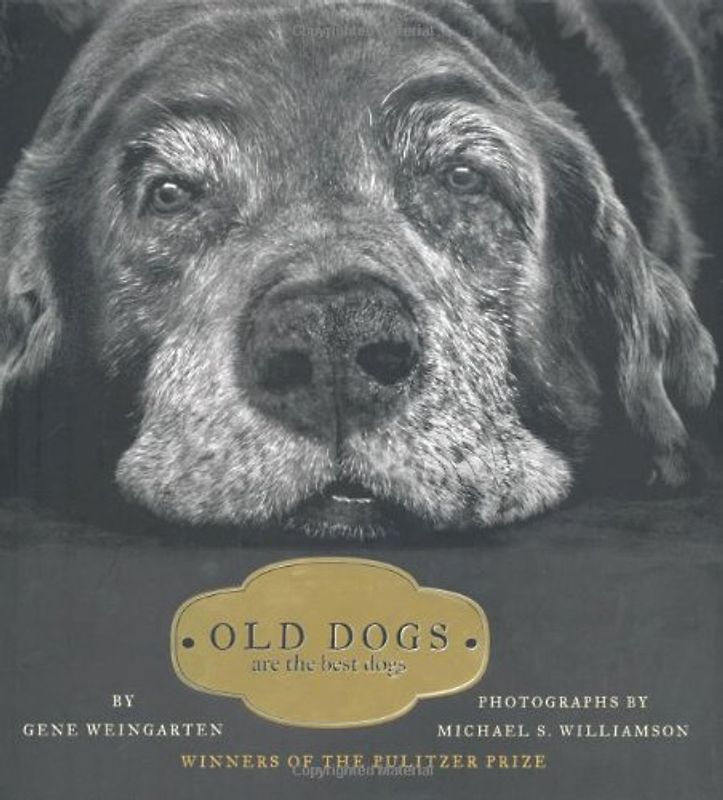 Old Dogs: Are the Best Dogs - Gene Weingarten