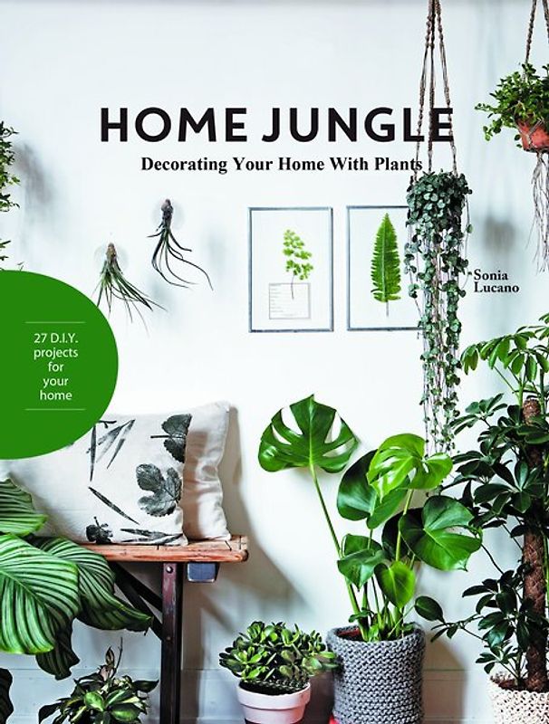 Home Jungle