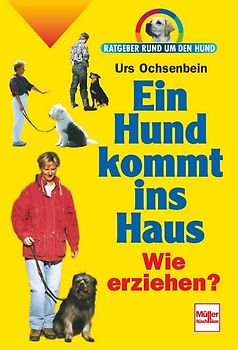 Ein Hund kommt ins Haus