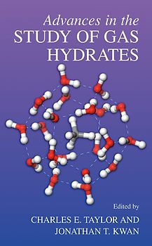 Advances in the Study of Gas Hydrates