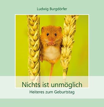 Nichts ist unmöglich