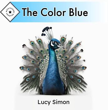 Montessori Readers: The Color Blue