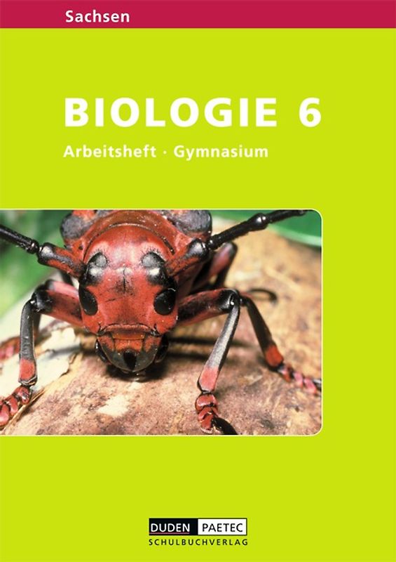 Level Biologie - Gymnasium Sachsen / 6. Schuljahr - Arbeitsheft
