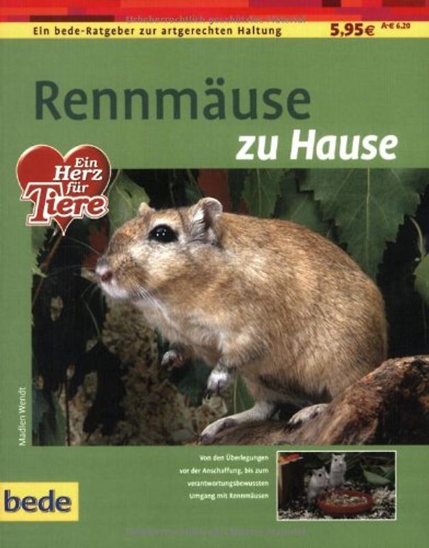 Rennmäuse zu Hause