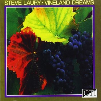 Steve Laury - Vineland Dreams