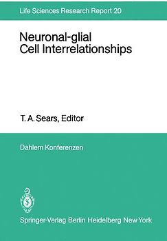 Neuronal-glial Cell Interrelationships
