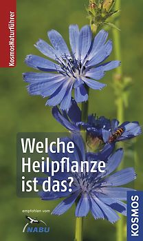 Welche Heilpflanze ist das?