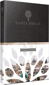 Biblia Reina Valera 1960 Tamaño Grande, Letra Grande. Tapa Dura / Rvr 1960 Holy Bible in Spanish. Large Size, Large Print, Hard Cover.
