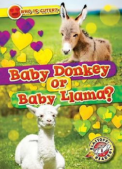 Baby Donkey or Baby Llama?