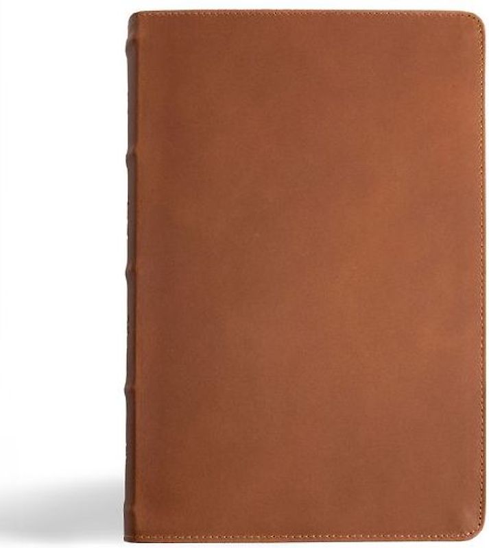 CSB Men's Daily Bible, Brown Genuine Leather, Indexed