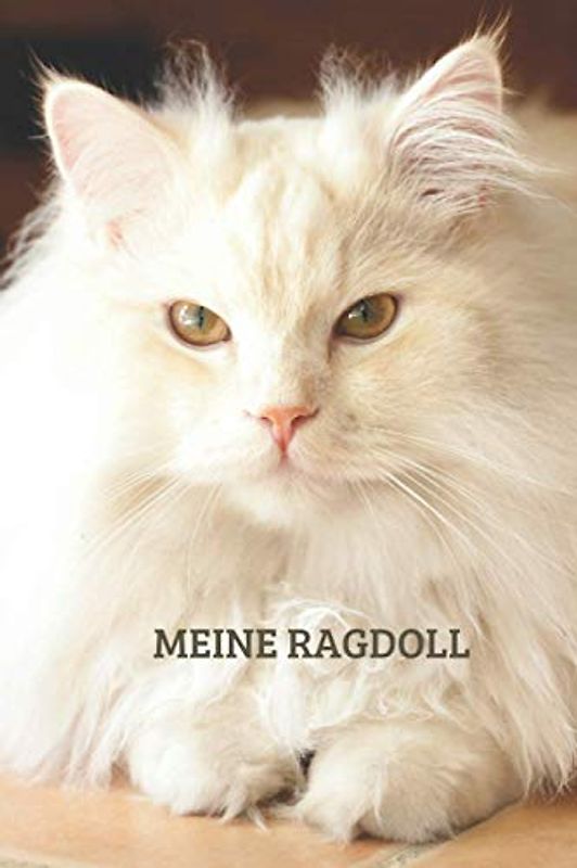 Meine Ragdoll: TOLLES Ragdoll Katze BUCH FÜR NÜTZLICHE INFORMATIONEN MIT LISTEN FÜR FUTTER, PFLEGE, NOTIZEN UND IMPFUNGEN.