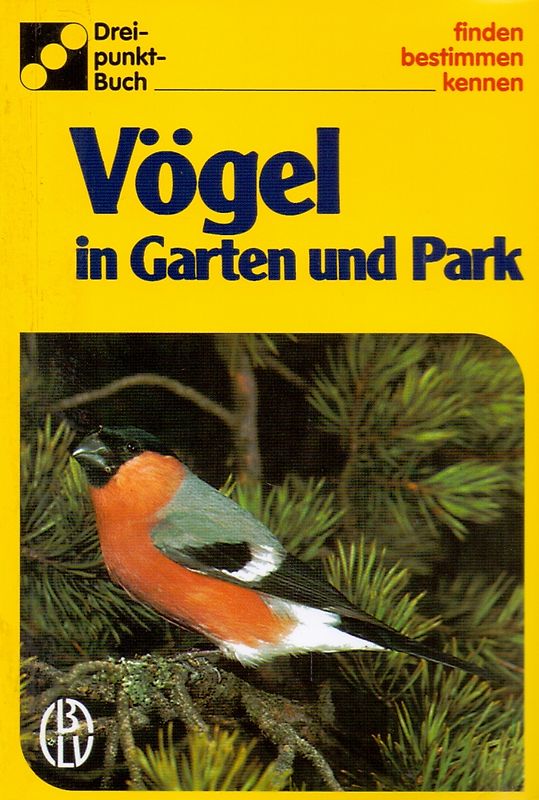 Vögel in Garten und Park
